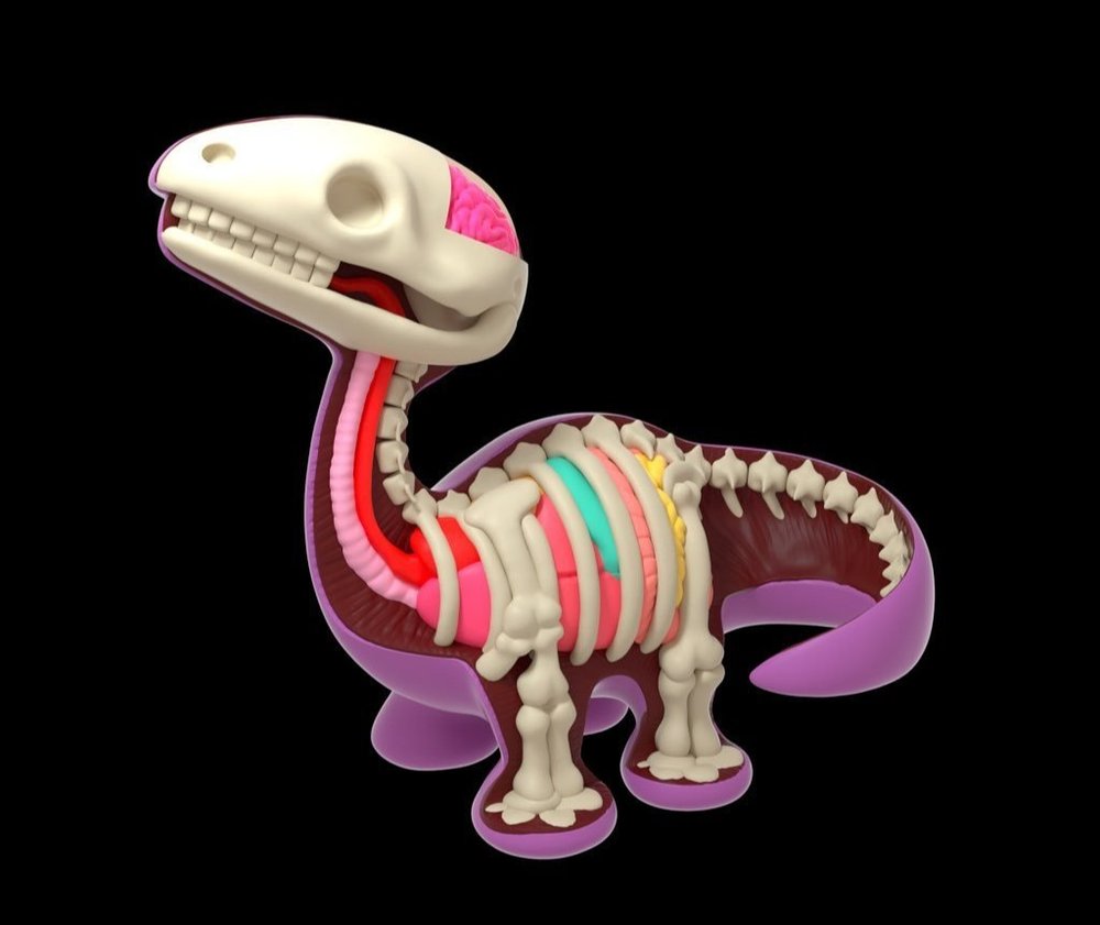 Skeleton Dinosaur